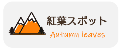 紅葉情報