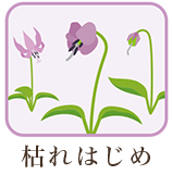 ちりはじめ