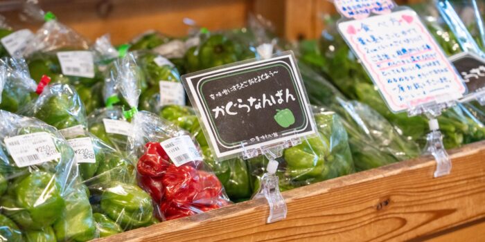 四季味わい館_5