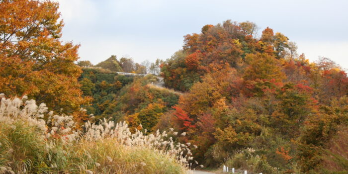 魚沼スカイライン②